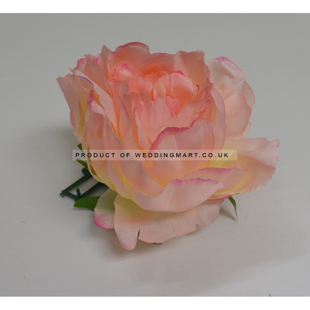 Light Pink Closed Peony Heads - Pack of 10