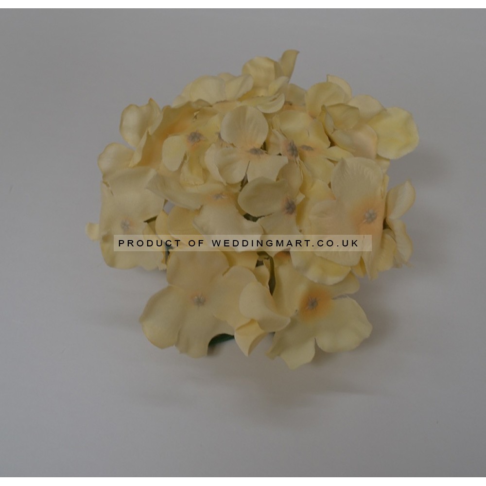 Cream Hydrangea Flower Heads - Pack of 10