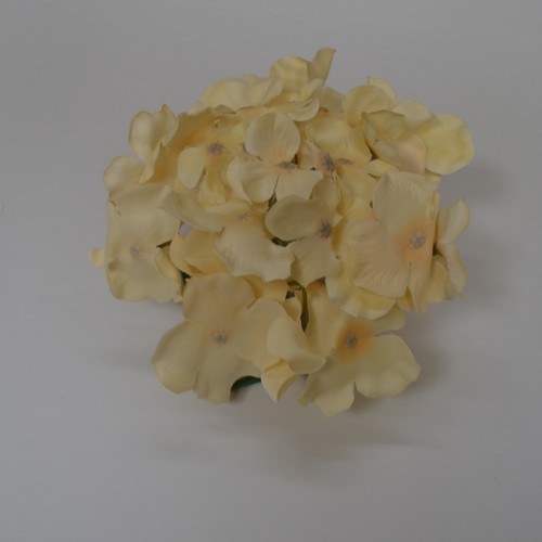 Cream Hydrangea Flower Heads - Pack of 10