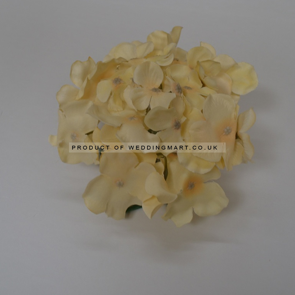 Cream Hydrangea Flower Heads - Pack of 10