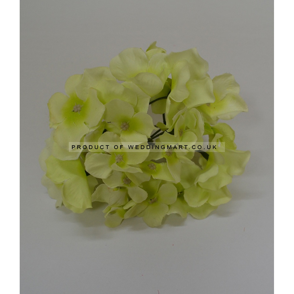 Baby Green Hydrangea Flower Heads - Pack of 10