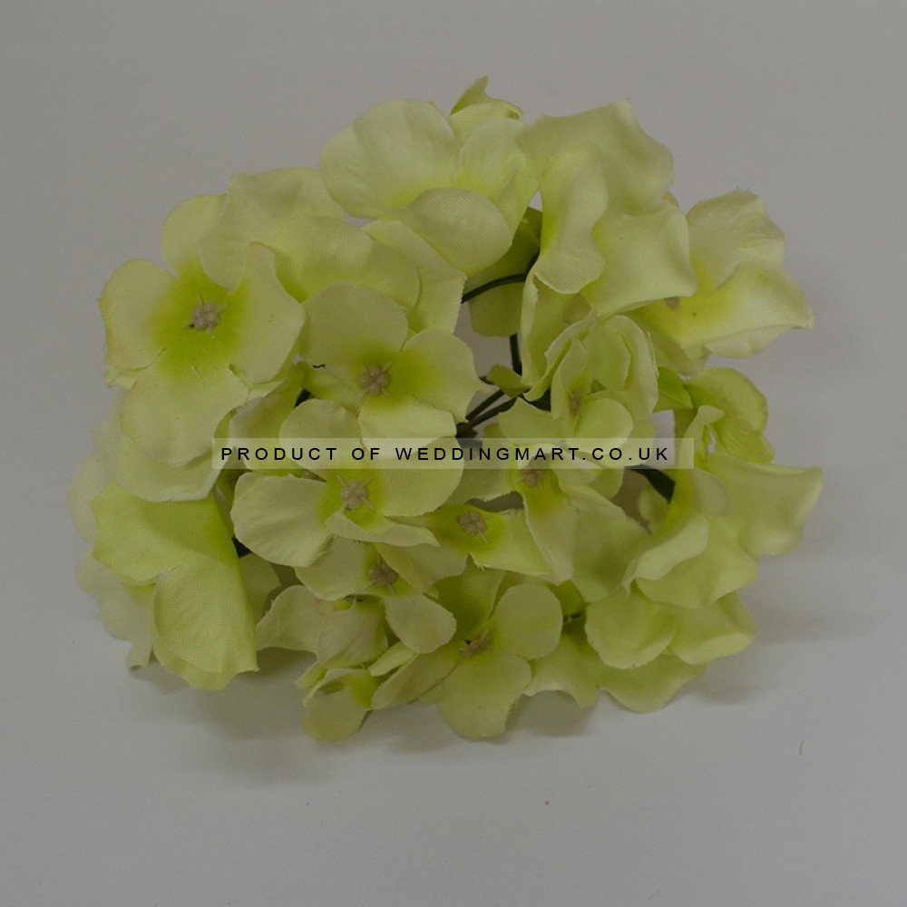 Baby Green Hydrangea Flower Heads - Pack of 10 – Wholesale Hydrangea Heads for Wedding Decorators | WeddingMart