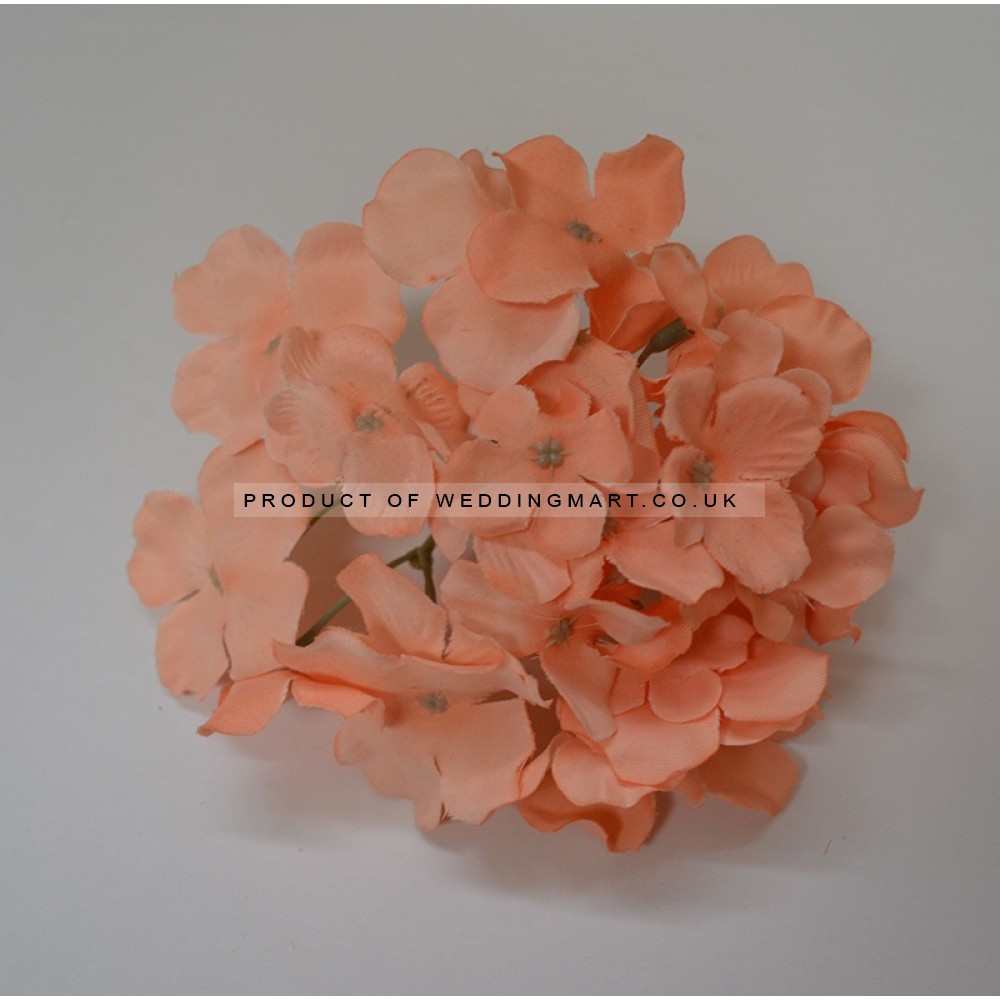 Peach Hydrangea Flower Heads - Pack of 10