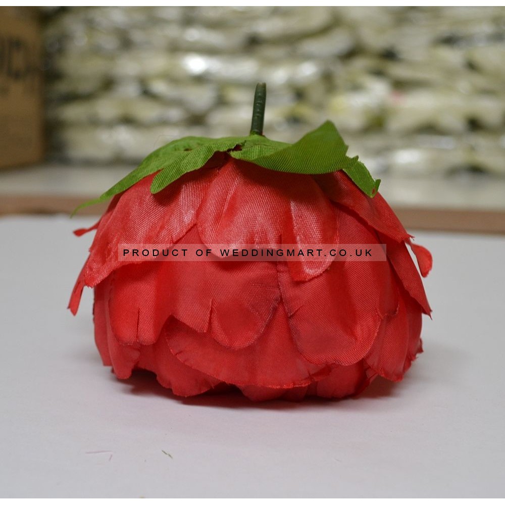 Red Peony Heads Closed - Pack of 10