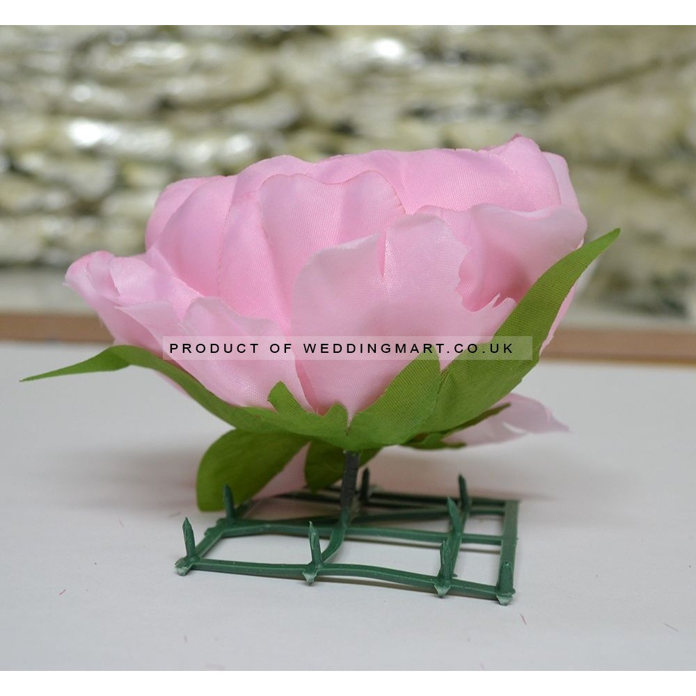 Pink Closed Peony Heads - Pack of 10
