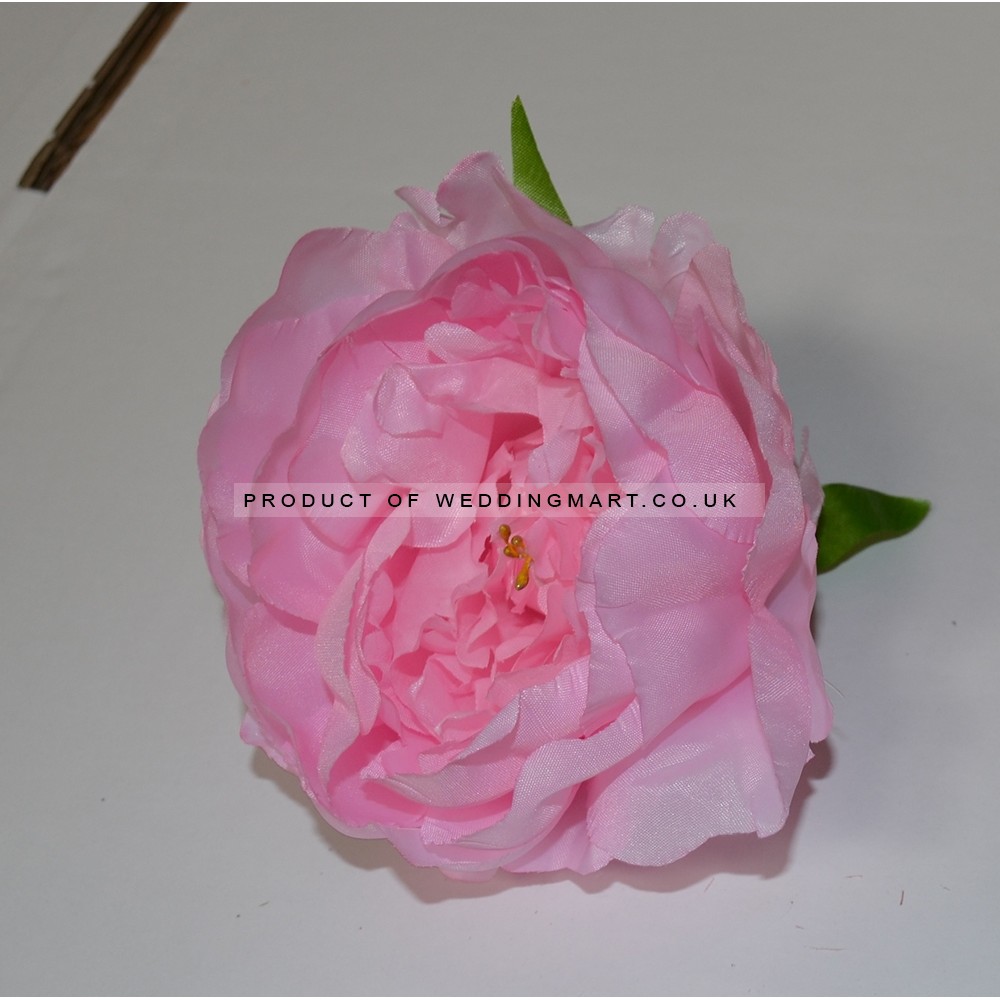 Pink Closed Peony Heads - Pack of 10