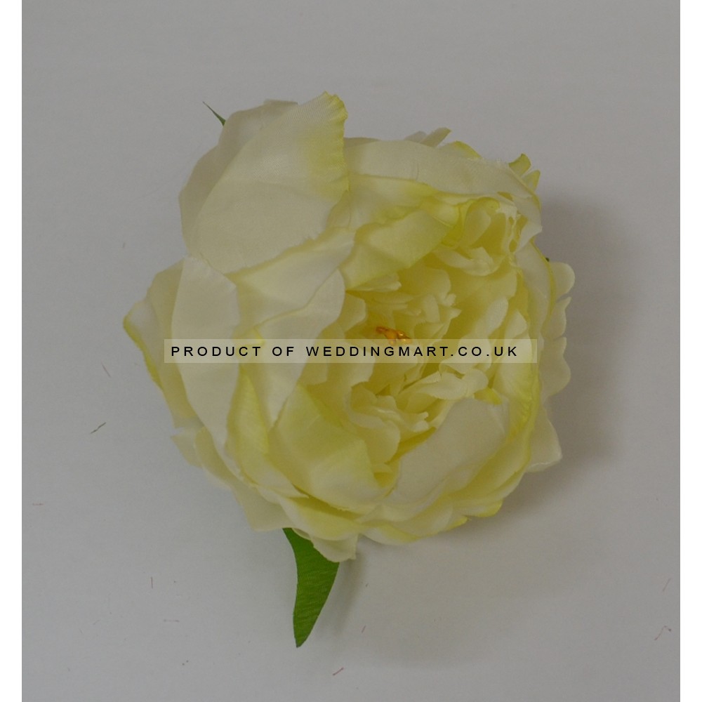 Light Green Peony Heads Closed - Pack of 10