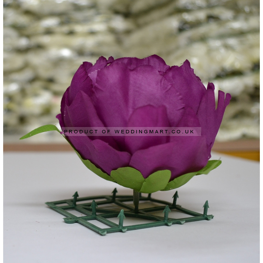 Purple Peony Heads Closed - Pack of 10