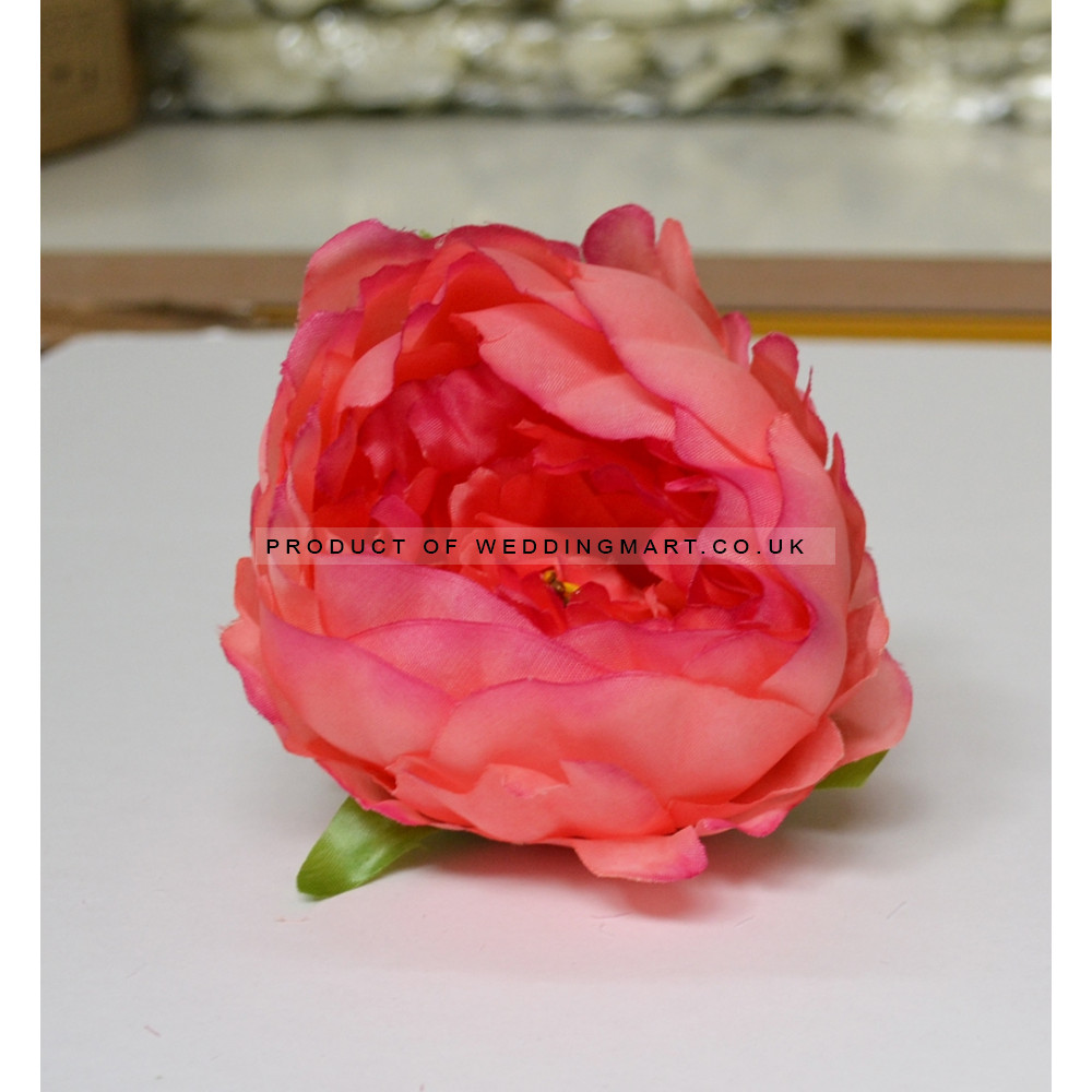 Orange Peony Heads Closed - Pack of 10