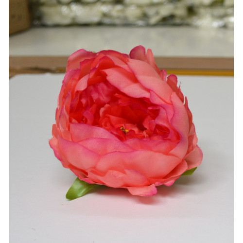 Orange Peony Heads Closed - Pack of 10