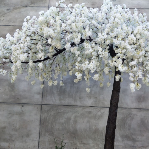 3.1m Artificial Weeping Cherry Blossom Canopy Tree - WHITE