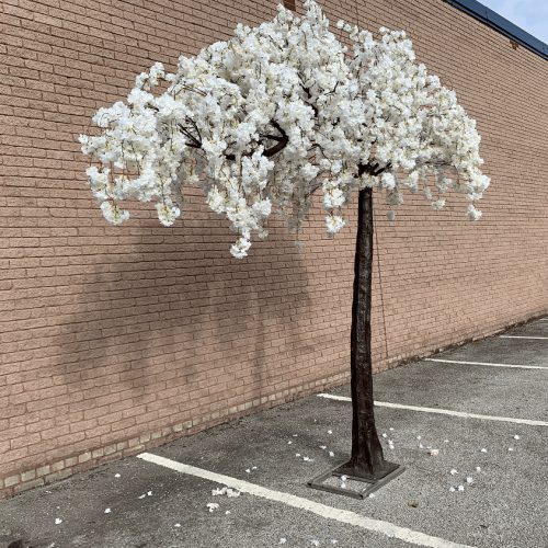 3.1m Artificial Weeping Cherry Blossom Canopy Tree - WHITE – Wholesale Canopy Arch Trees for Wedding Decorators | WeddingMart