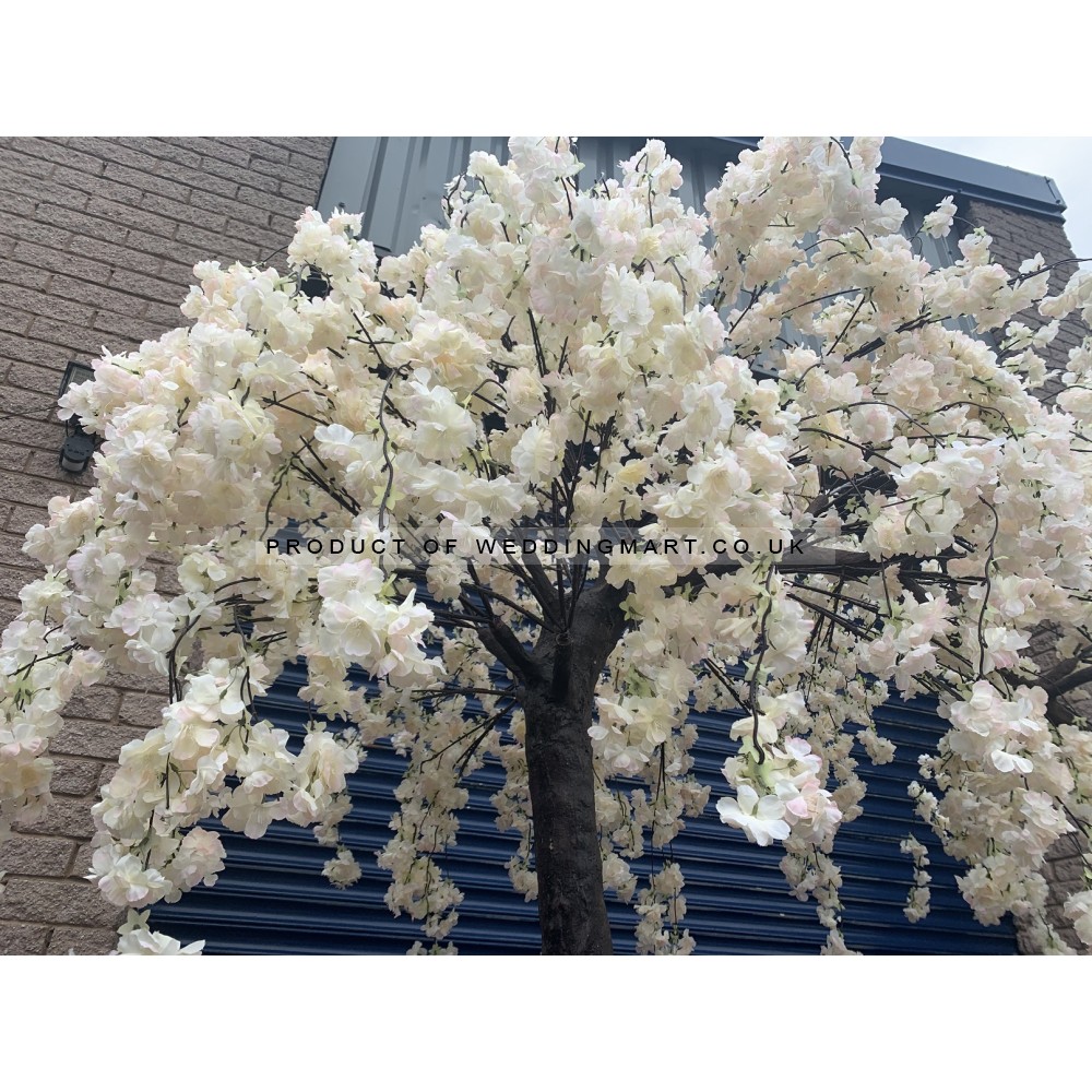 3.1m Artificial Weeping Cherry Blossom Canopy Tree - IVORY