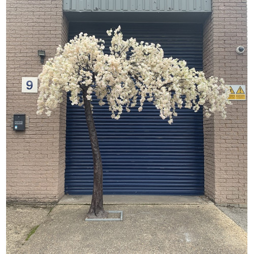 3.1m Artificial Weeping Cherry Blossom Canopy Tree - IVORY
