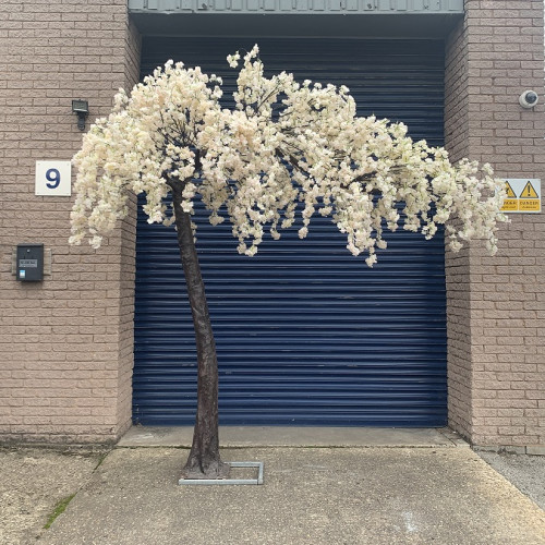 3.1m Artificial Weeping Cherry Blossom Canopy Tree - IVORY