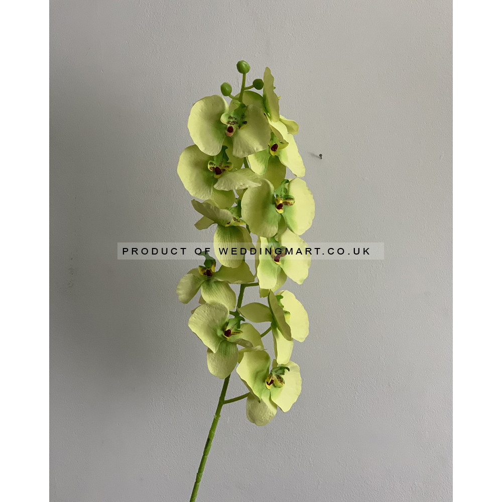 Artificial Butterfly Orchid - Green