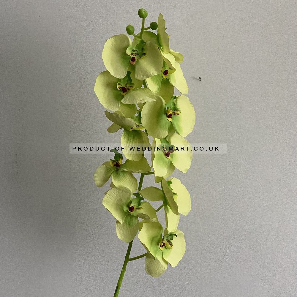 Artificial Butterfly Orchid - Green – Wholesale Butterfly Orchids for Wedding Decorators | WeddingMart