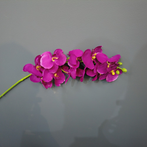 Artificial Butterfly Orchid - Purple – Wholesale Butterfly Orchids for Wedding Decorators | WeddingMart