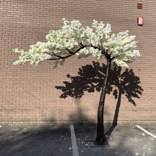 Cherry Blossom Tree Spare Branch - Ivory