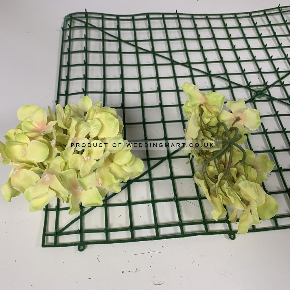 Light Green Hydrangea Flower Heads - Pack of 50