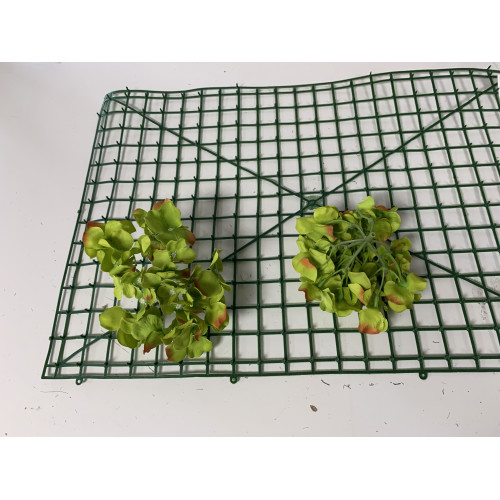 Lemon Green Hydrangea Flower Heads - Pack of 50