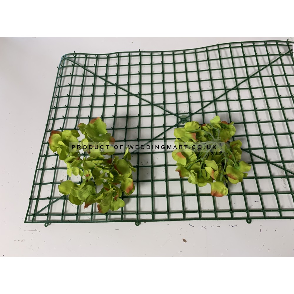 Lemon Green Hydrangea Flower Heads - Pack of 50