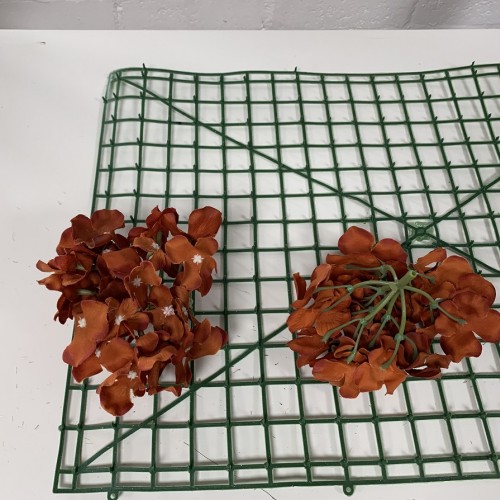 Burnt Orange Hydrangea Flower Heads - Pack of 50