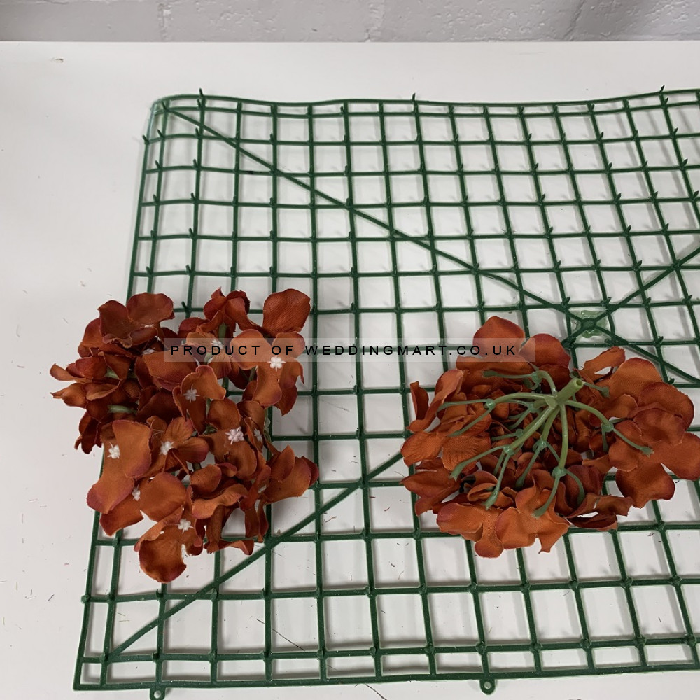 Burnt Orange Hydrangea Flower Heads - Pack of 50