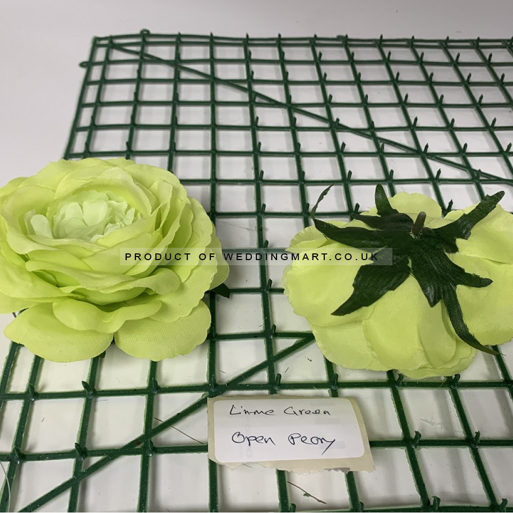 Light Green Peony Heads - Pack of 10 – Wholesale Open Peony Flower Heads for Wedding Decorators | WeddingMart