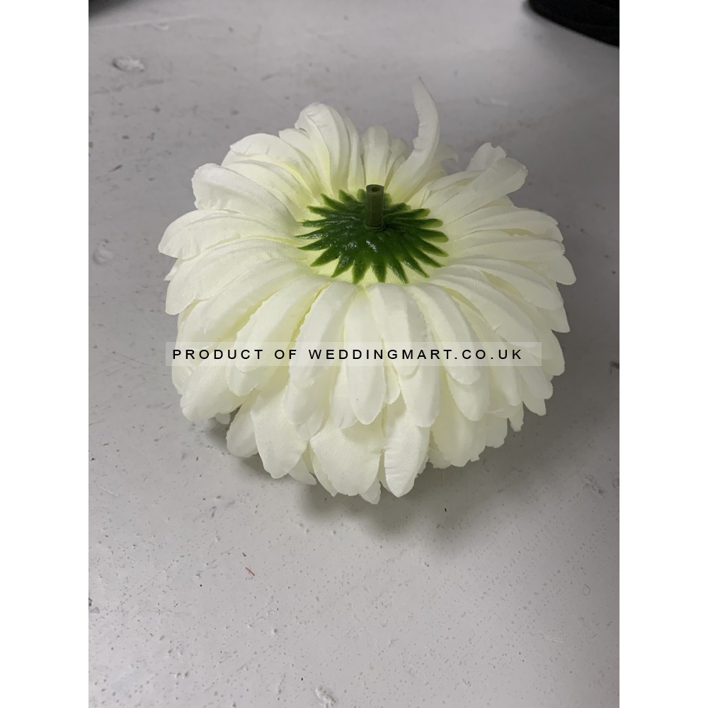 Big Chrysanthemum Flower Heads - Light Green