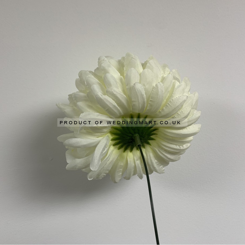 Big Chrysanthemum Flower Heads - Coral – Wholesale Chrysanthemum Heads for Wedding Decorators | WeddingMart