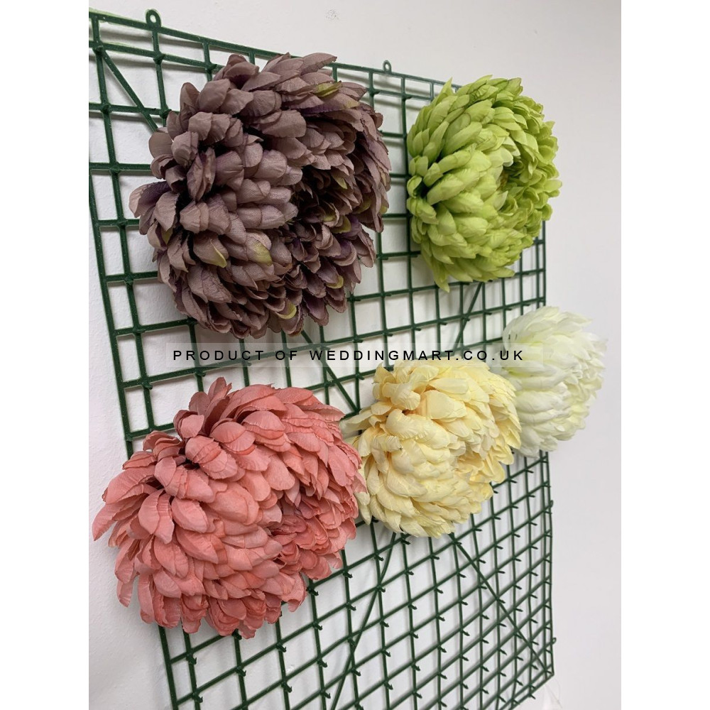 Big Chrysanthemum Flower Heads - Coral