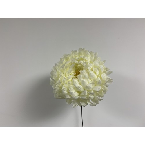 Big Chrysanthemum Flower Heads - Coral