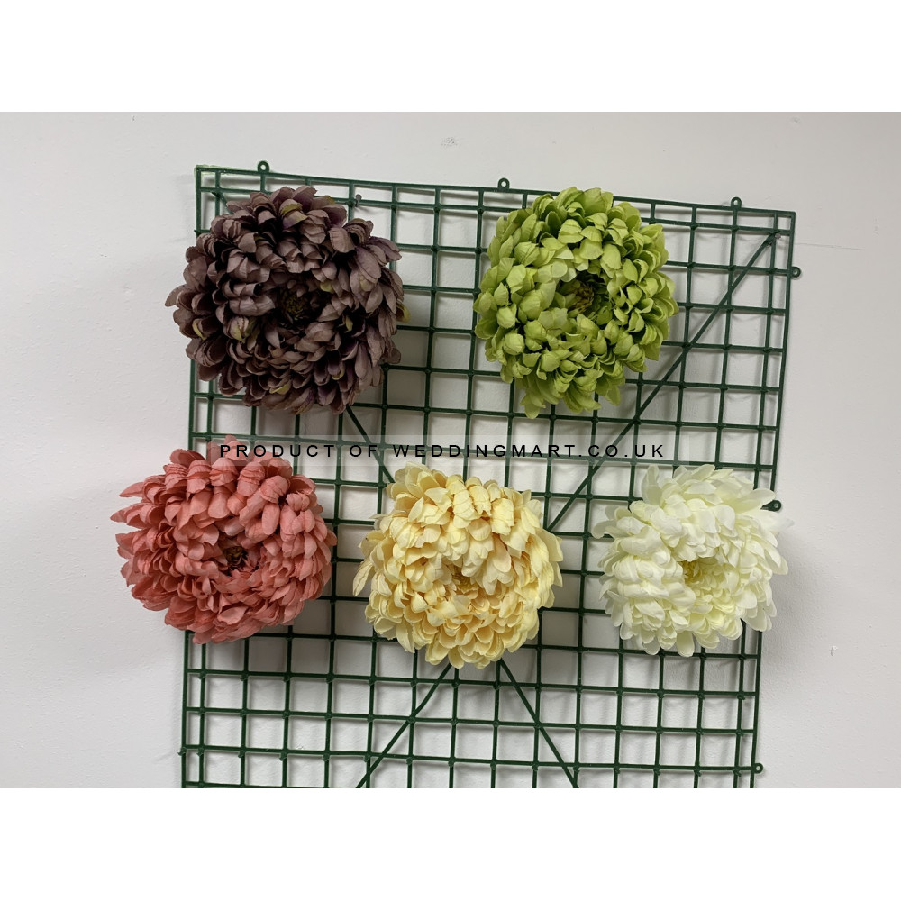 Big Chrysanthemum Flower Heads - Coral