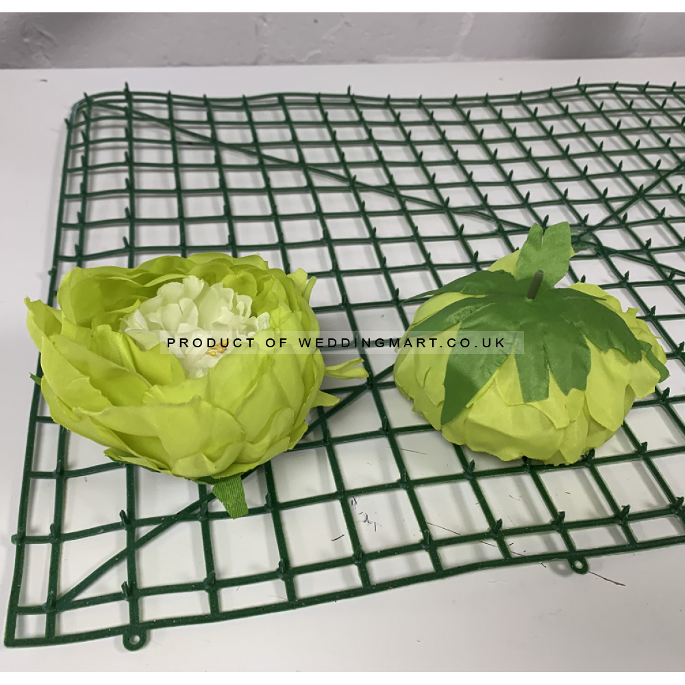 Green and Ivory Peony Heads Closed - Pack of 10