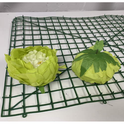 Green and Ivory Peony Heads Closed - Pack of 10