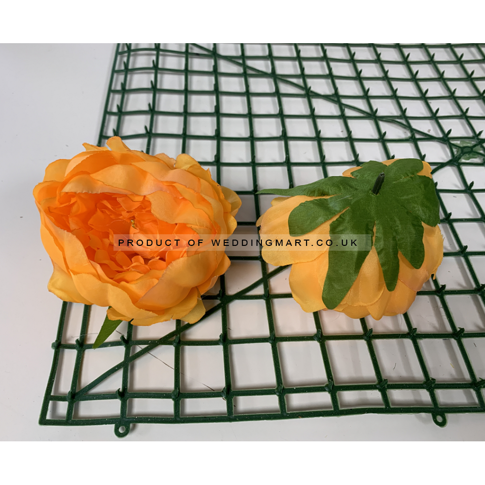 Bright Orange Peony Heads Closed - Pack of 10