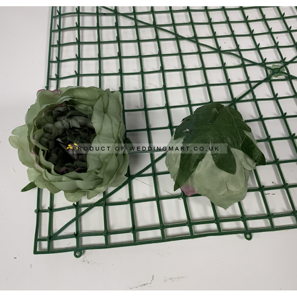 Dark Green Peony Heads Closed - Pack of 10