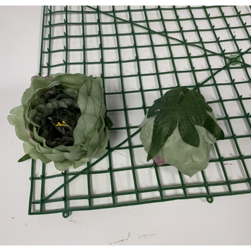 Dark Green Peony Heads Closed - Pack of 10