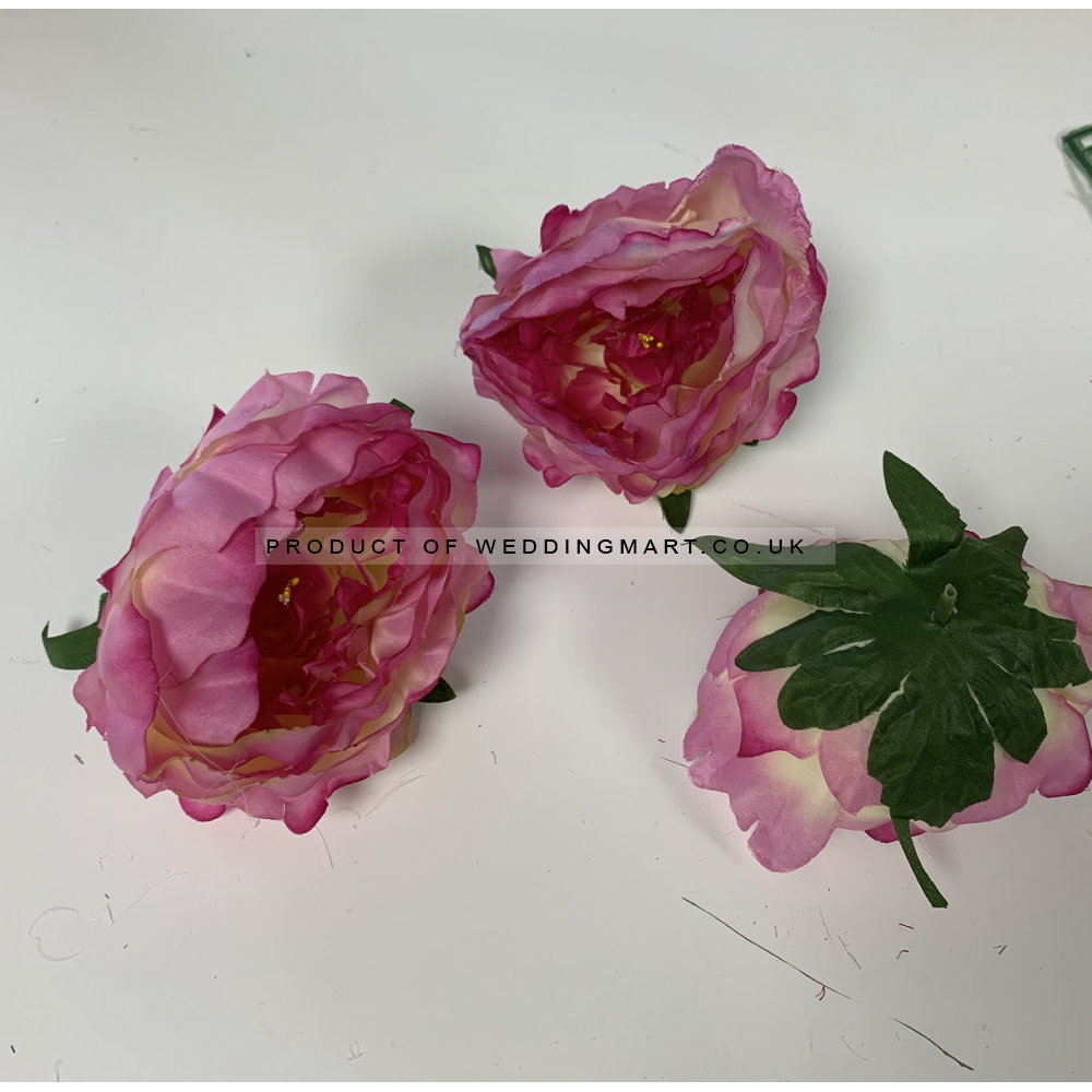 Fuchsia and Ivory Peony Heads Closed - Pack of 10