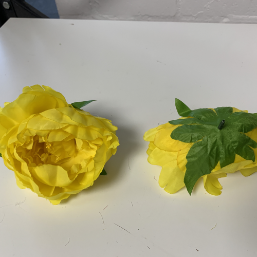 Yellow Peony Heads Closed - Pack of 10