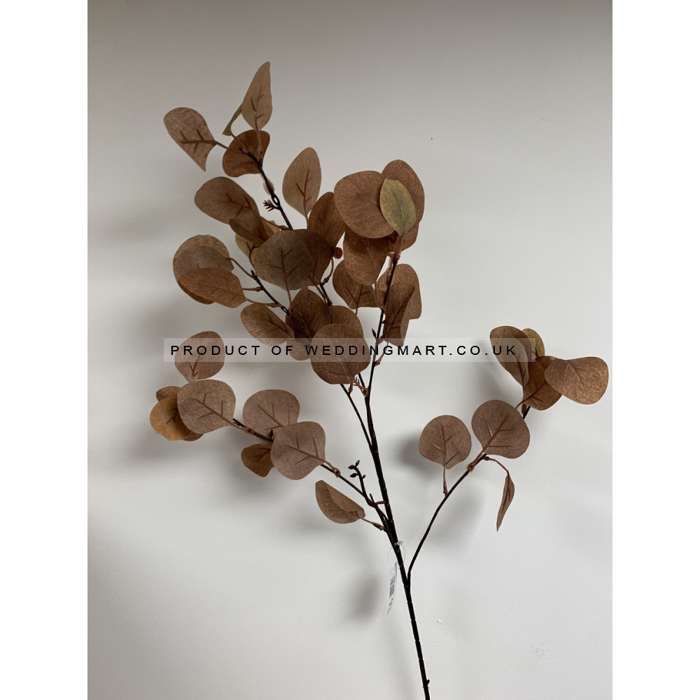85cm BROWN EUCALYPTUS SPRAY