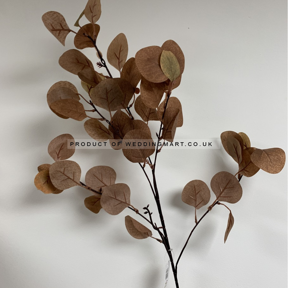 85cm BROWN EUCALYPTUS SPRAY – Wholesale Foliages and Greeneries for Wedding Decorators | WeddingMart