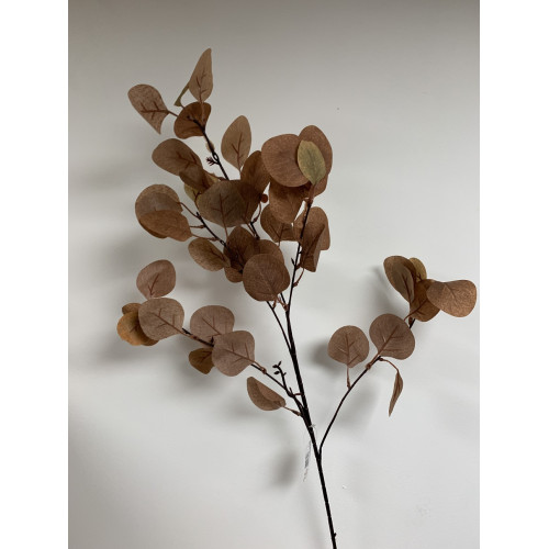 85cm BROWN EUCALYPTUS SPRAY