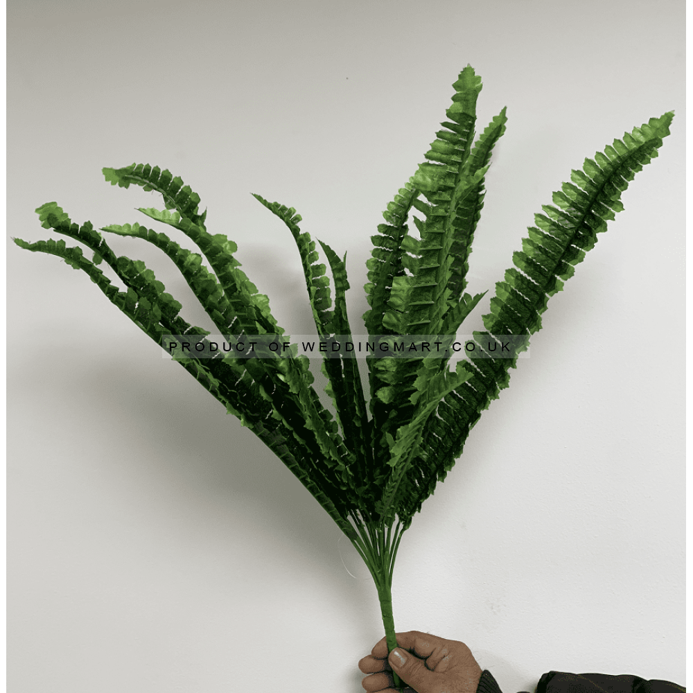 LARGE BOSTON FERN BUSH GREEN