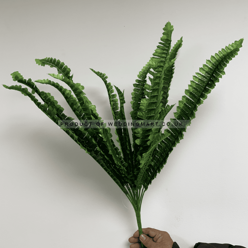 LARGE BOSTON FERN BUSH GREEN