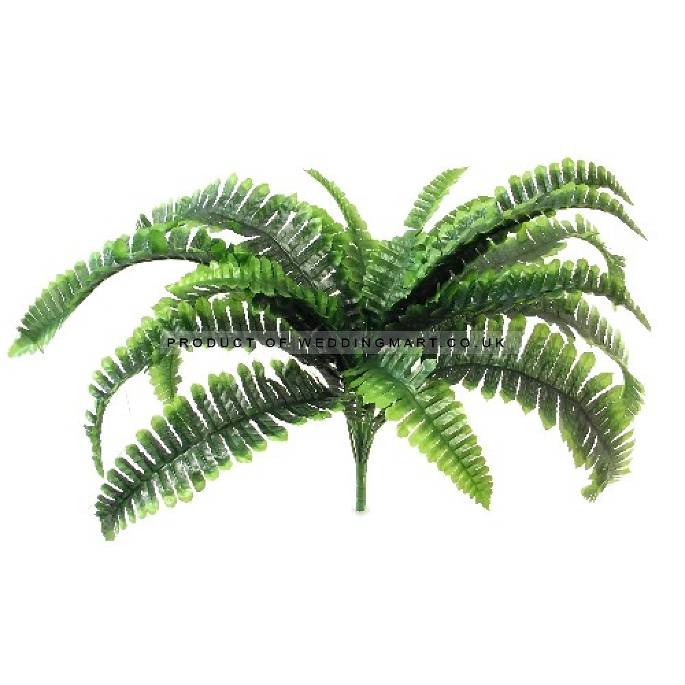 LARGE BOSTON FERN BUSH GREEN
