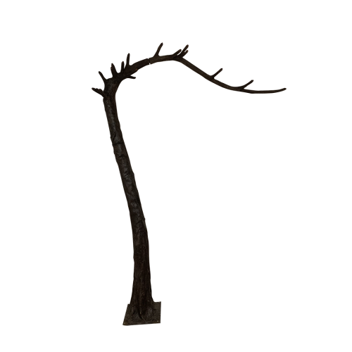 310cm Canopy Arch Rose Tree - Ivory