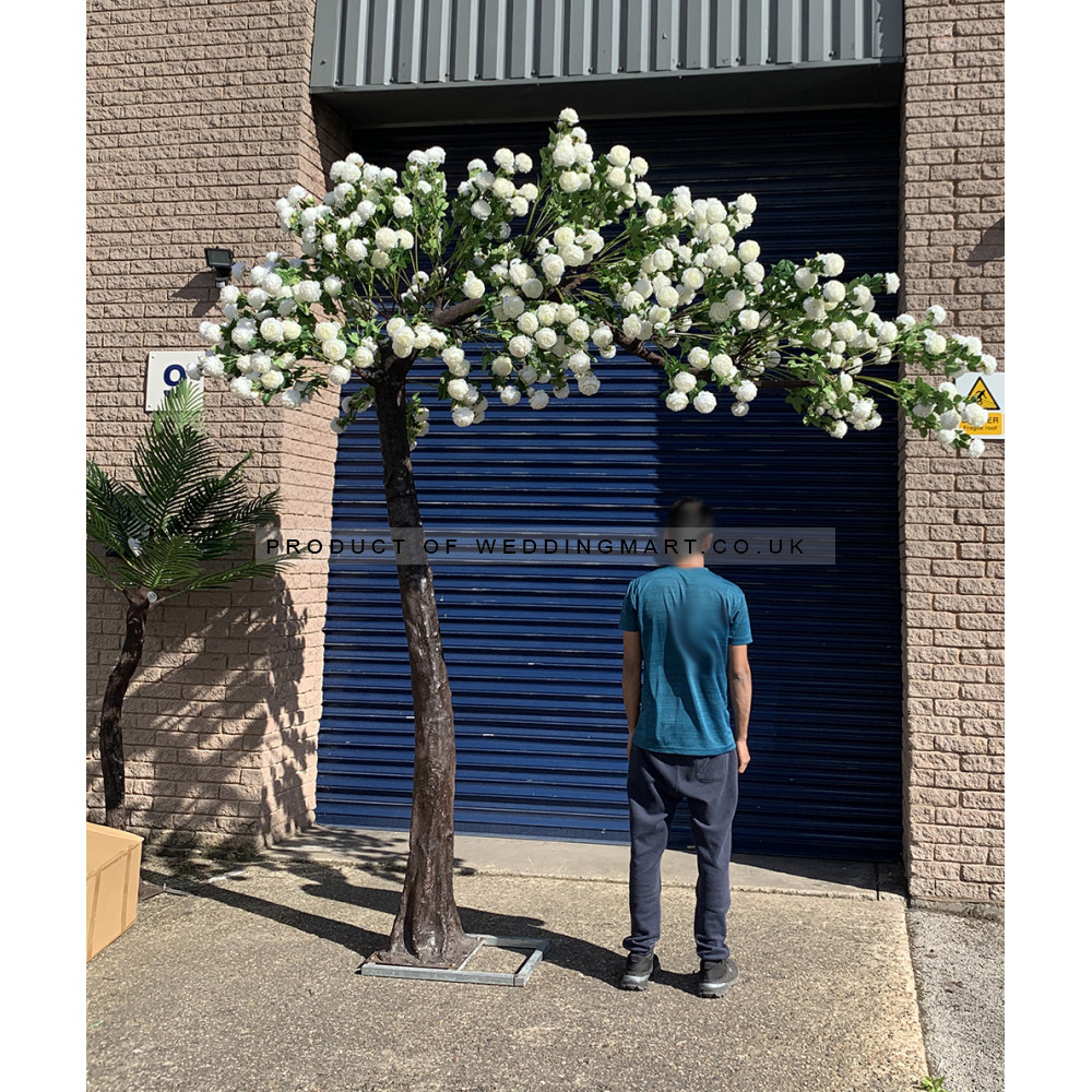 310cm Canopy Arch Rose Tree - Ivory