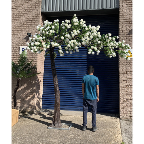 310cm Canopy Arch Rose Tree - Ivory